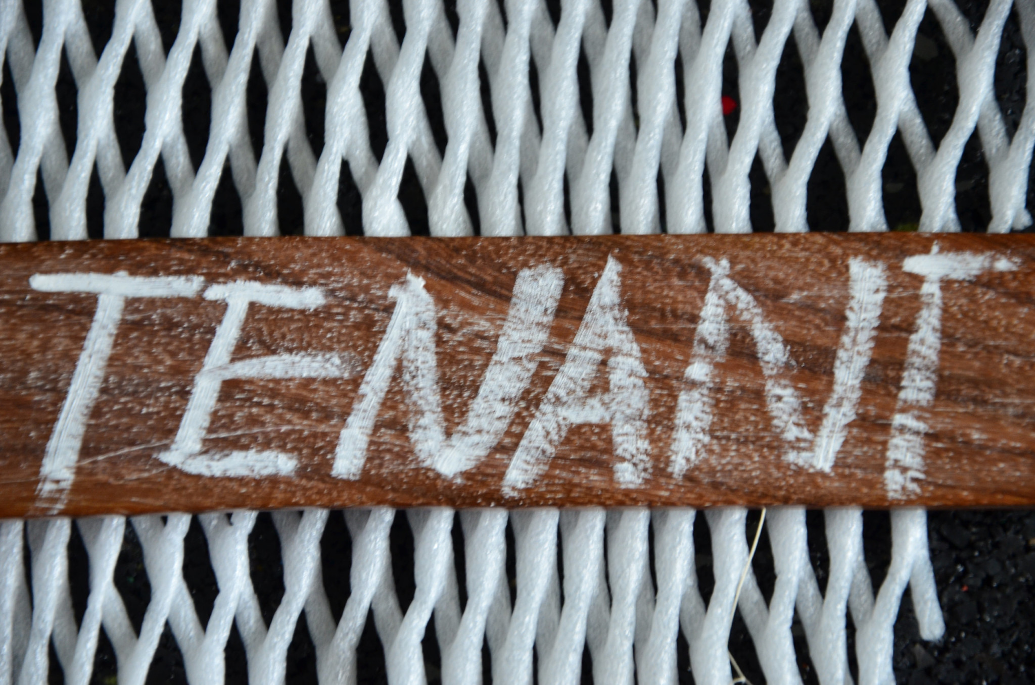 A Talk With Rent Butter Podcast Episode 38 The MHP Expert